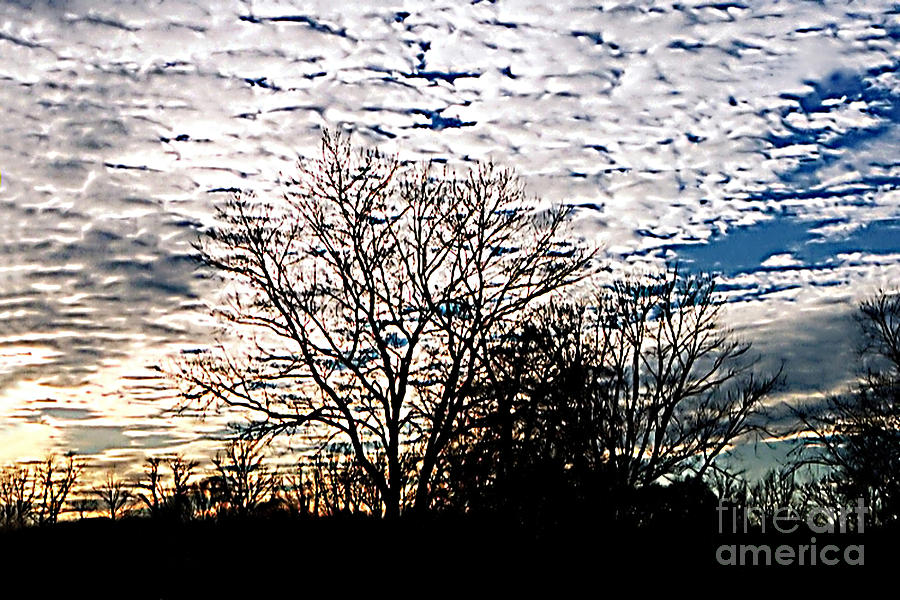 Cloud Blanket Sunset 2 Photograph by Susan Stevenson