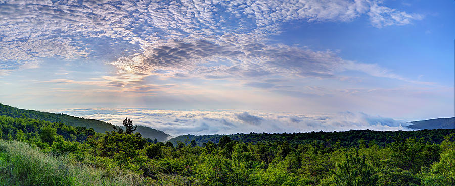 Mountain Photograph - Cloud Ocean by Metro DC Photography