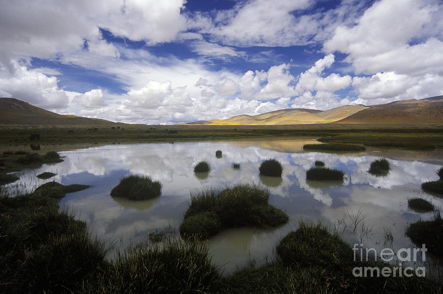 Cloud Reflection - Tibetan Plateau Photograph by Craig Lovell