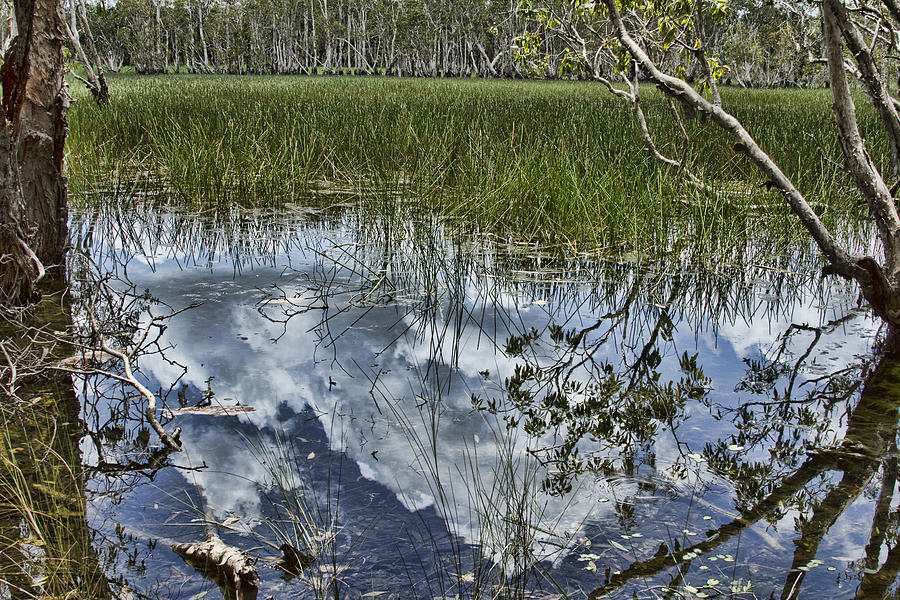 Cloud Reflections Photograph by Douglas Barnard Cloud Reflections Photograph by Douglas Barnard