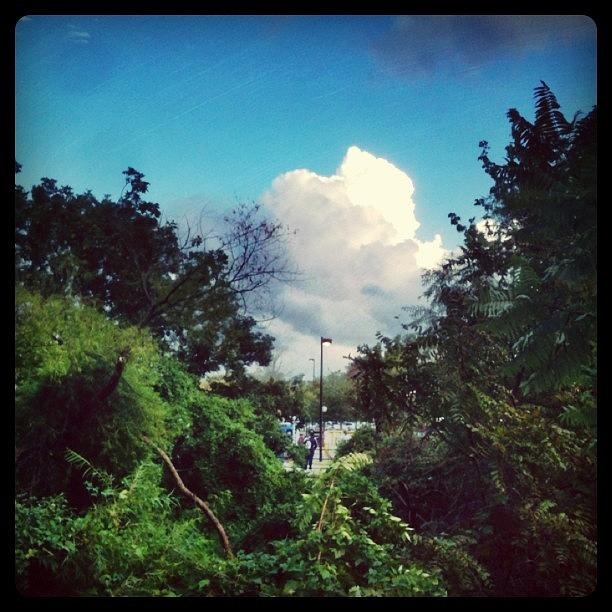 #cloudporn Seen At Shady Grove Metro Photograph by Rob Murray