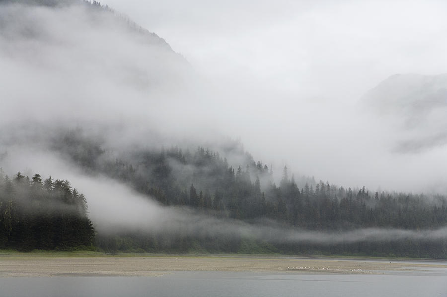 Clouds And Mist Over Forest, Admiralty Photograph by Konrad Wothe