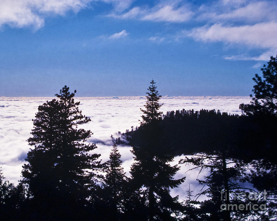 Clouds at Sequoia National Park Photograph by Stephen Whalen