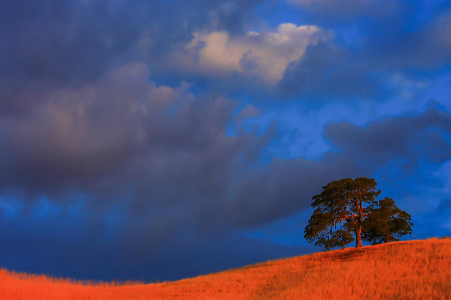 Antioch Photograph - Clouds At Sunrise by Marc Crumpler