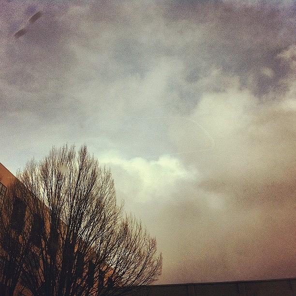 Winter Photograph - #clouds #cloudporn #cloudy #trees by Karen Clarke