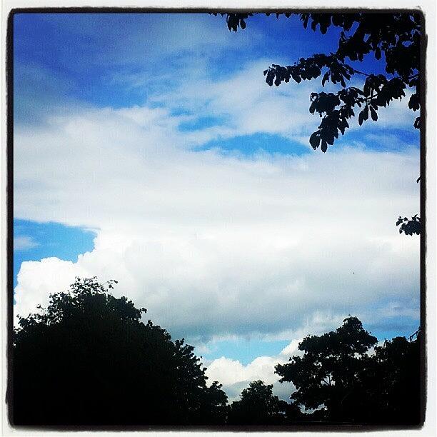 Tree Photograph - #clouds #cloudscape #cloudporn #bluesky by Lauren Dunn
