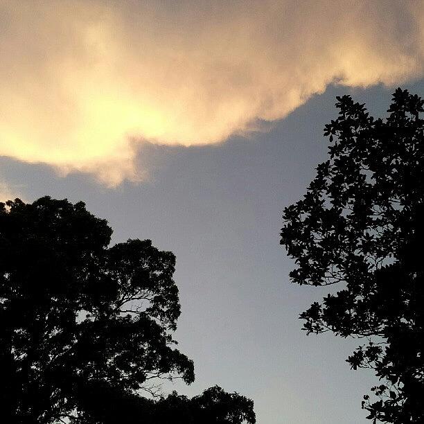 Tree Photograph - Clouds, Mayne #stillsoftheworld #clouds by Stills Of The World