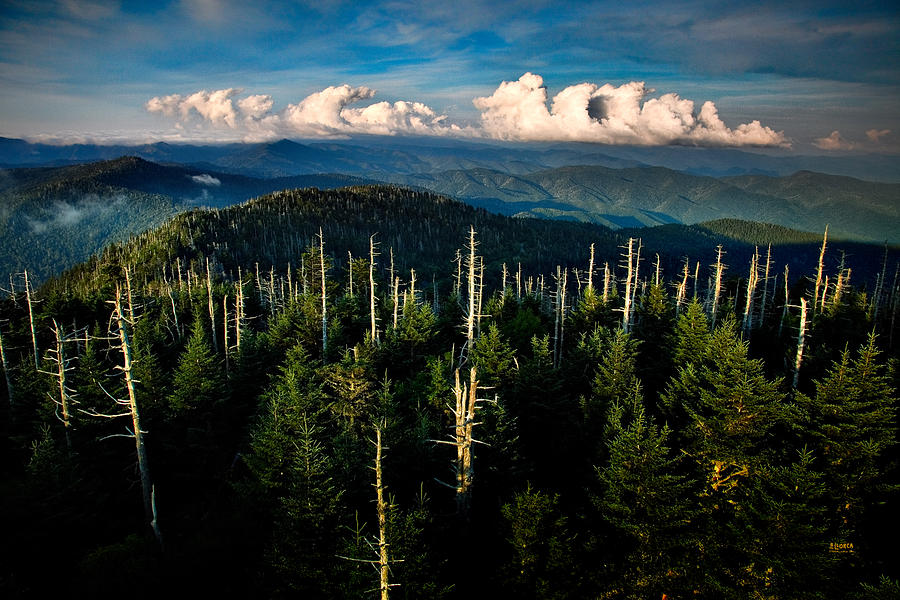 Clouds Over Mt LeConte Near The Great Smoky Mountains Photograph by Steven Llorca