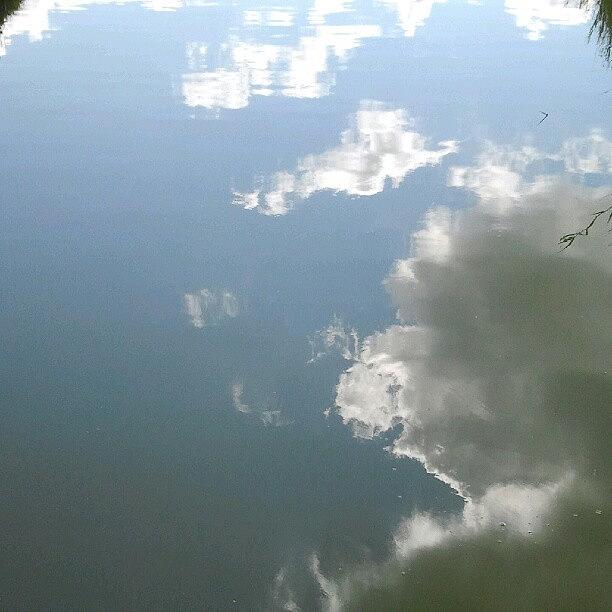Nature Photograph - #clouds #reflection In The #water by Carola @ Rotterdam Netherlands