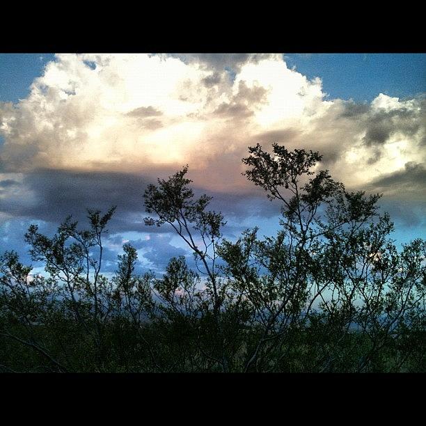 Tree Photograph - #clouds #tree #sky #beautiful by Jennifer OHarra