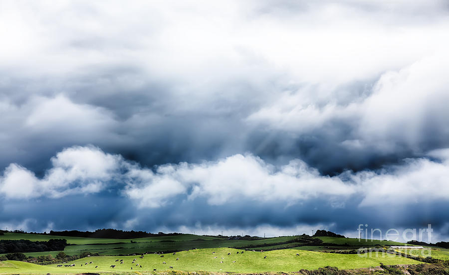 Cloudscape over cow field Photograph by Simon Bratt