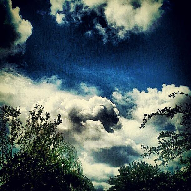 Clouds Photograph - #clouds#cloudporn#sky#florida#igdaily by Michael Green