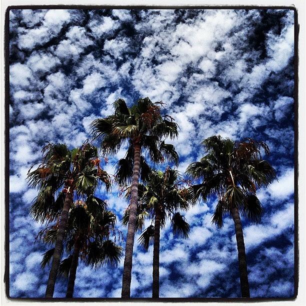 Cloudy In Long Beach Photograph by Ringo Chiu