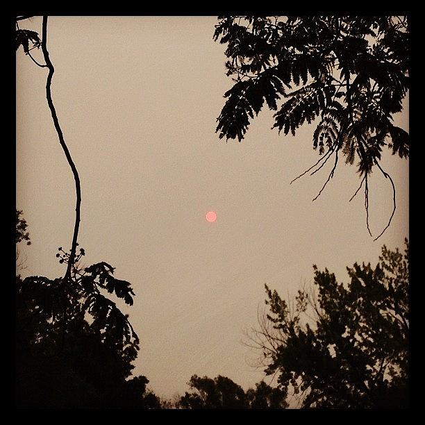 Cloudy Red Sun Photograph by Marc Crow