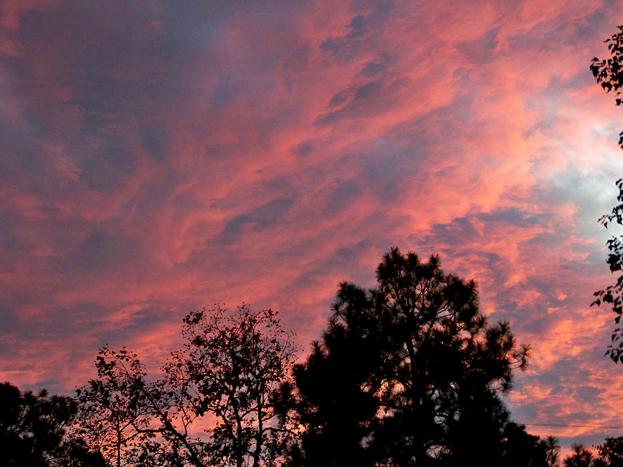 Cloudy Sunset Photograph by Judy Wanamaker