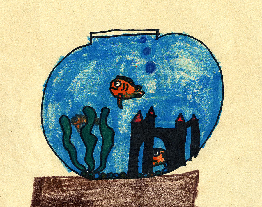 Fish Drawing - Clown Fish in a Bowl by Bella       