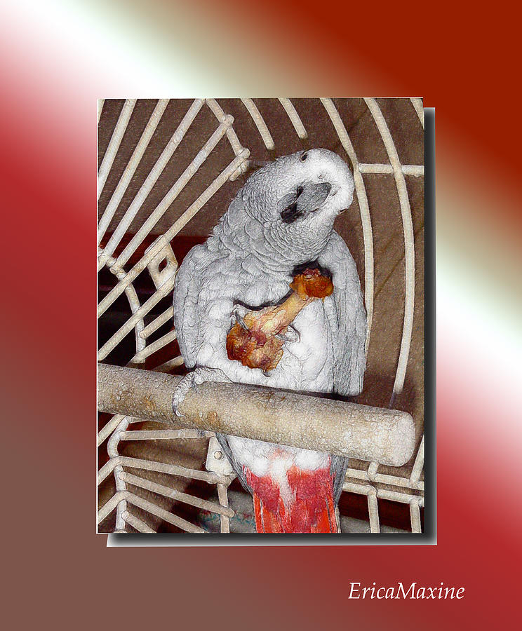 Parrot Photograph - Clyde Loves Her Chicken by Ericamaxine Price