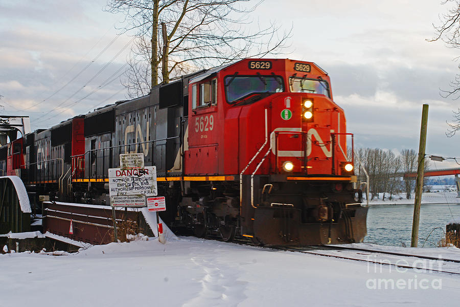CN Freight Train Photograph by Randy Harris