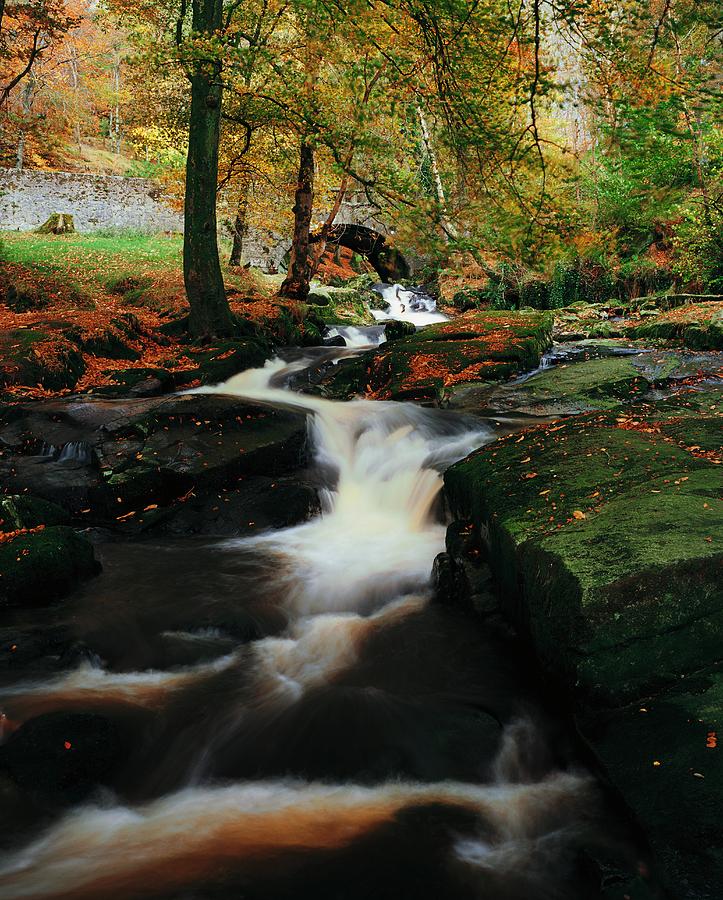 Landscape Photograph - Co Wicklow, Ireland Waterfalll Near by The Irish Image Collection 