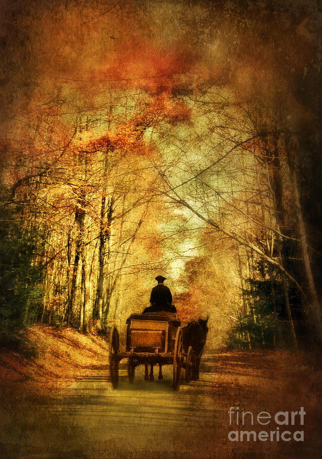 Coach on a Road in Autumn Photograph by Jill Battaglia