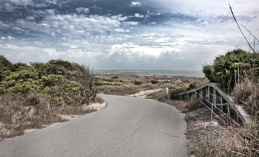 Bald Photograph - Coastal Bend by Betsy Knapp Bald Photograph - Coastal Bend by Betsy Knapp