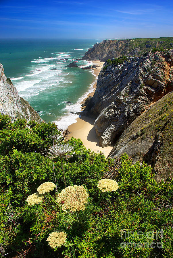 Coastal Cliffs Photograph by Carlos Caetano