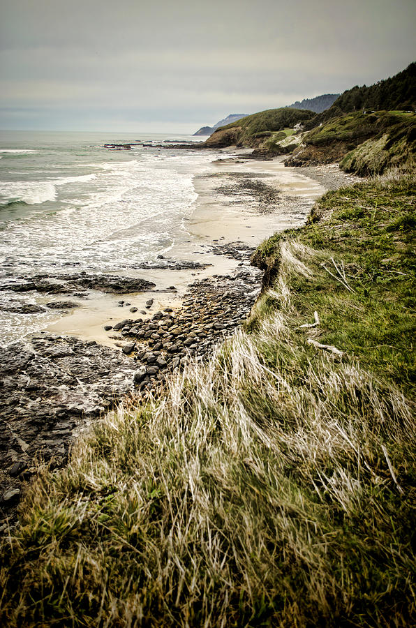 Coastal Grass Photograph by Heather Applegate