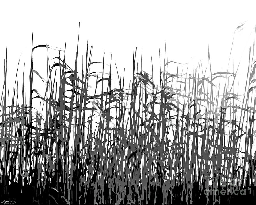 Coastal Grasses Digital Art by Lizi Beard-Ward