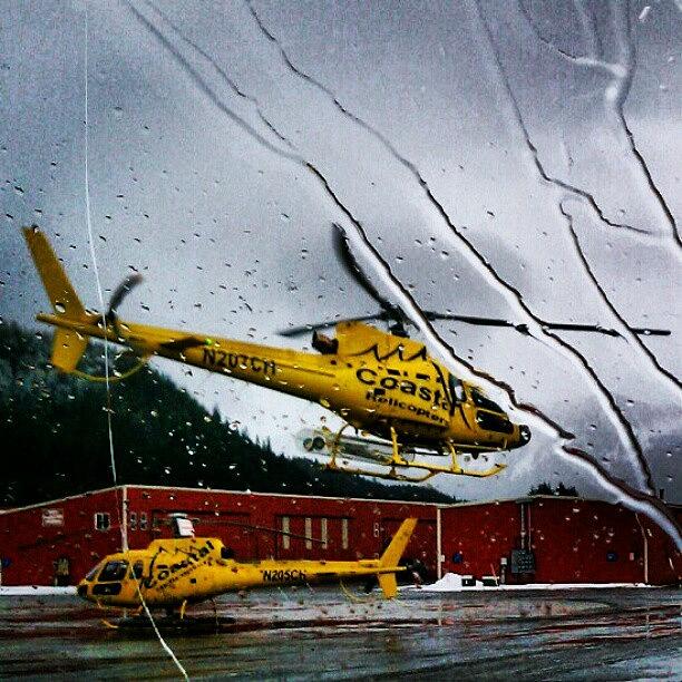 Helicopter Photograph - Coastal Helicopter Juneau Ak by Dan Piraino