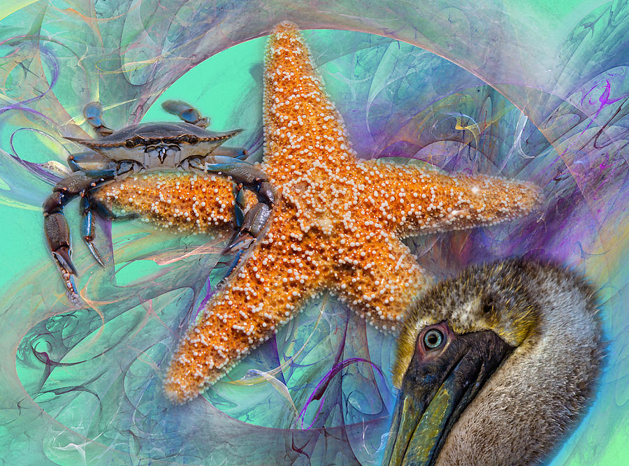 Fish Digital Art - Coastal Life I by Betsy Knapp