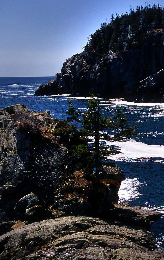 Acadia National Park Photograph - Coastal Maine by Skip Willits