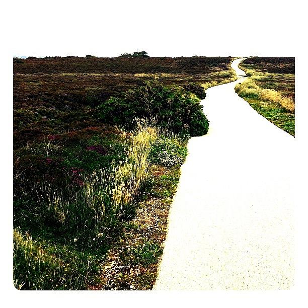 Instagram Photograph - Coastal Pathway by Marcus Haysom