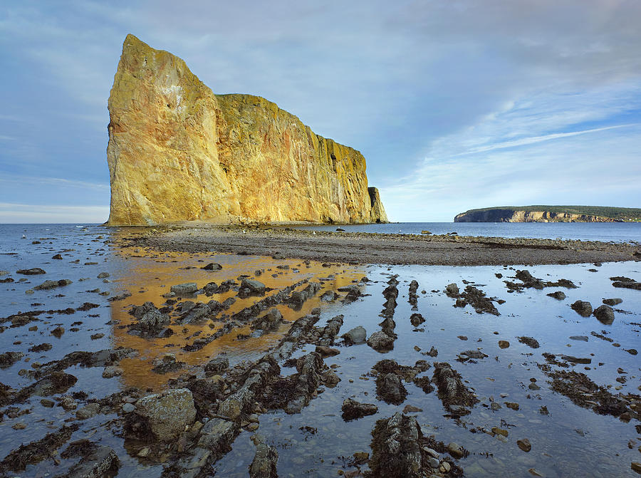 Coastline And Perce Rock A Limestone Photograph by Tim Fitzharris
