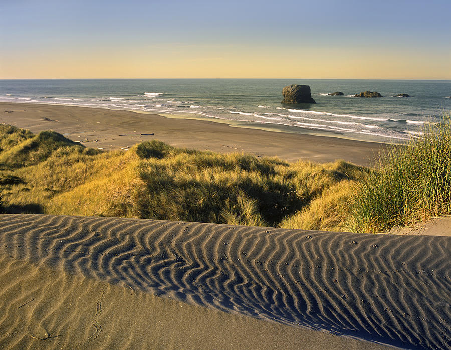 Landscape Photograph - Coastline Pistol River Beach Oregon by Tim Fitzharris