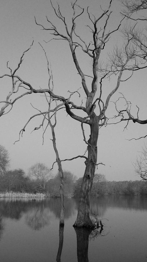 Coate Water Photograph by Michael Standen Smith
