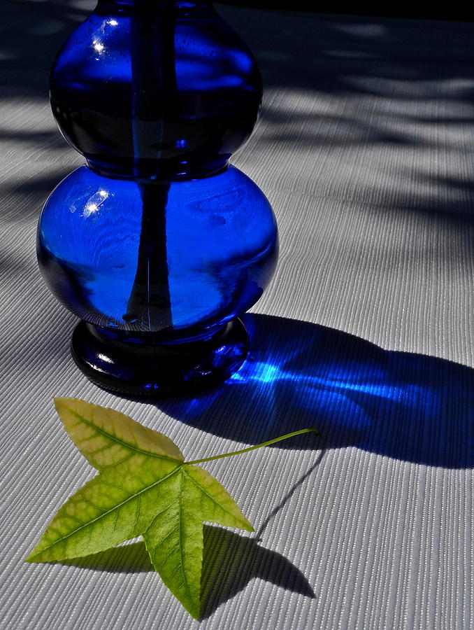 Cobalt Blue Depression Glass Vase Photograph by Kirsten Giving