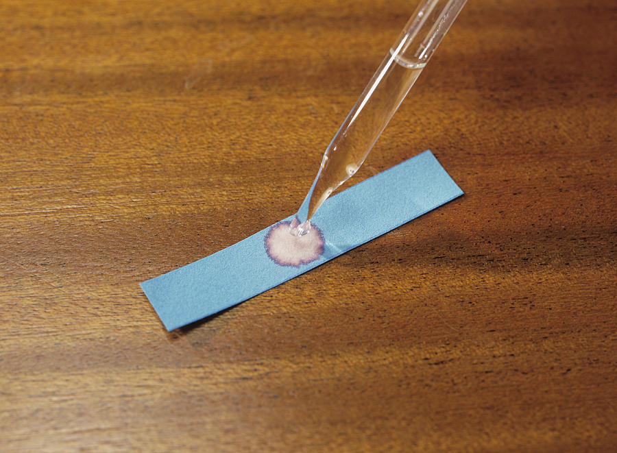 blue cobalt chloride paper turns pink