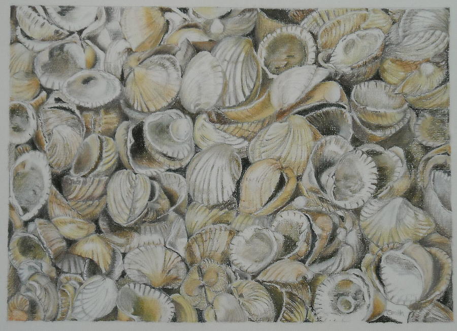 Cockle Shells Pastel by Teresa Smith