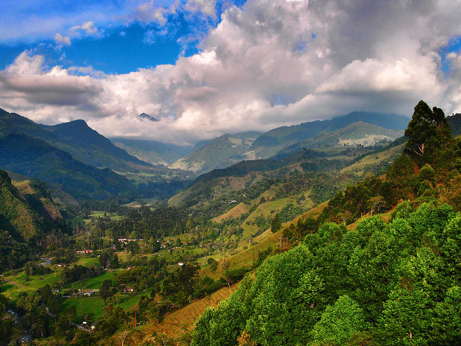 Cocora Valley Photograph by Skip Hunt