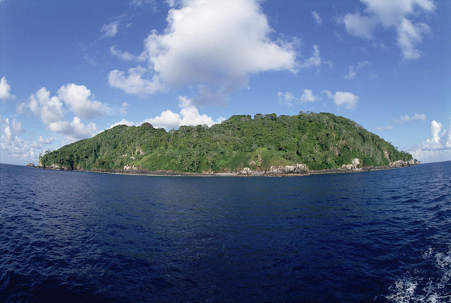 Cocos Island Off The Pacific Coast Photograph by Flip Nicklin
