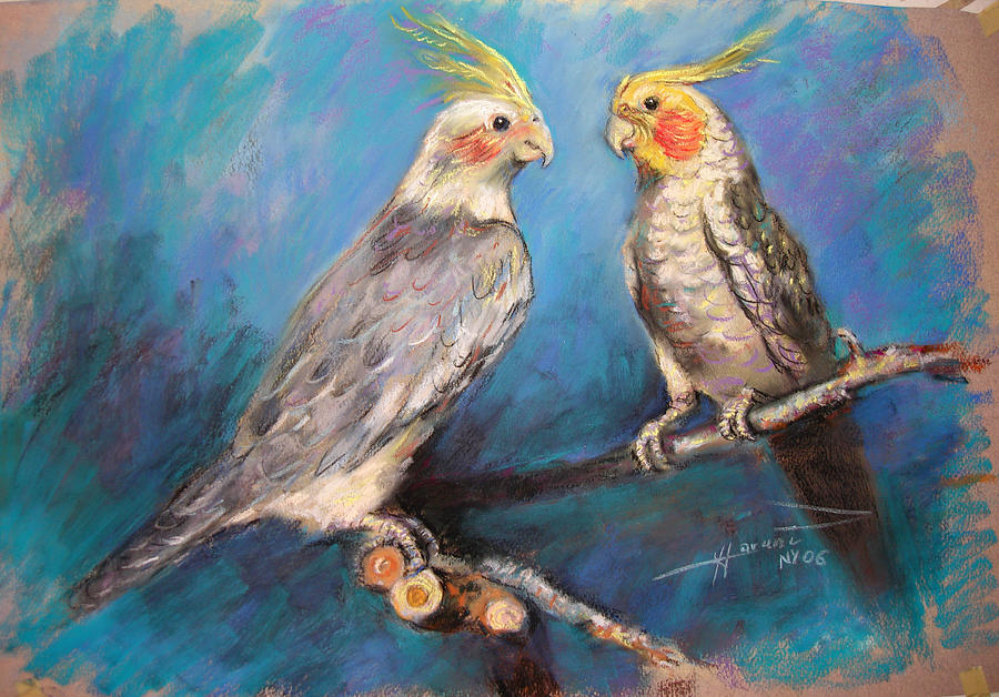 Parrot Pastel - Coctaiel Parrots by Ylli Haruni