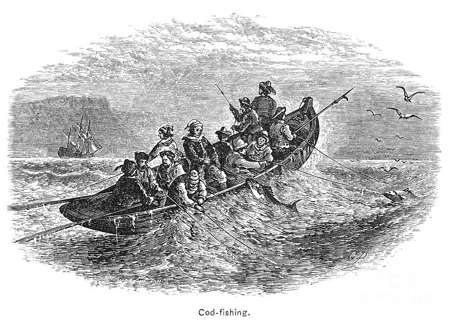 Cod-fishing, 17th Century Photograph by Granger - Fine Art America