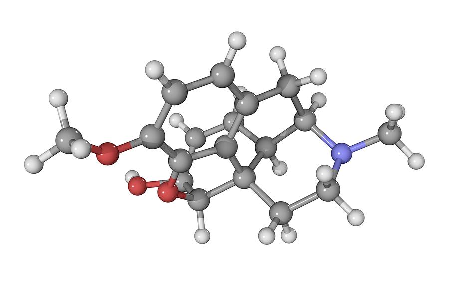 Codeine Drug Molecule Photograph by Laguna Design - Fine Art America