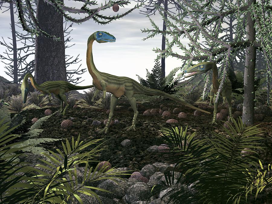 Prehistoric Photograph - Coelophysis Dinosaurs, Artwork by Walter Myers