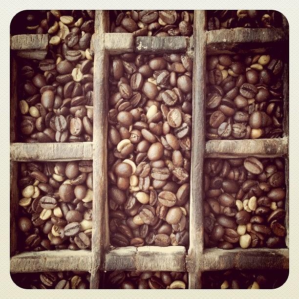 Coffee Photograph - Coffe beans by Isabel Poulin