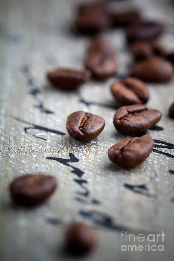 Coffee beans Photograph by Kati Finell