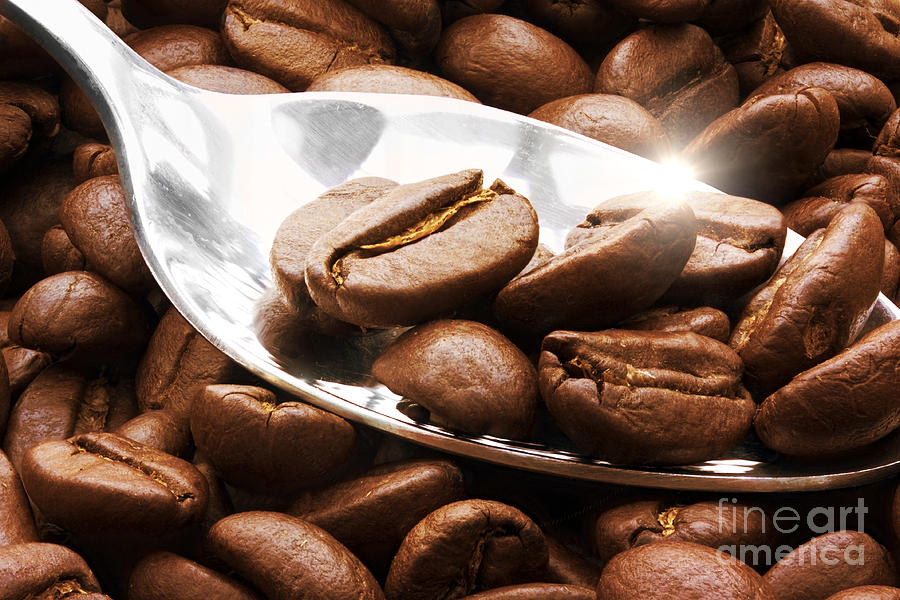 Coffee beans on a spoon  Photograph by Simon Bratt
