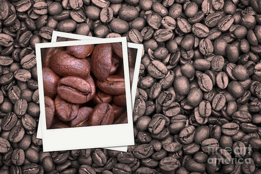 Coffee beans polaroid Photograph by Jane Rix