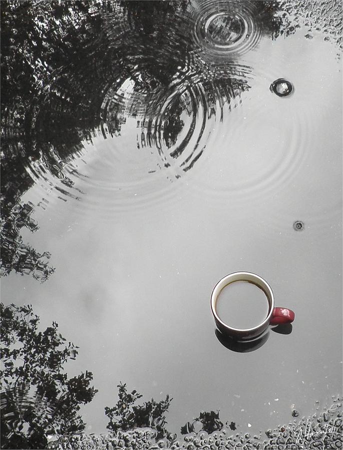 Coffee In The Rain 2 Photograph By Tonie Cook Fine Art America