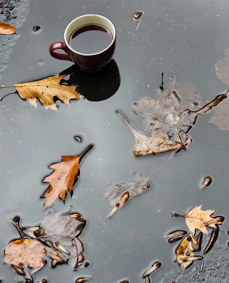 Coffee Leaves Blacktop Pond Photograph